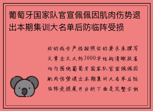 葡萄牙国家队官宣佩佩因肌肉伤势退出本期集训大名单后防临阵受损